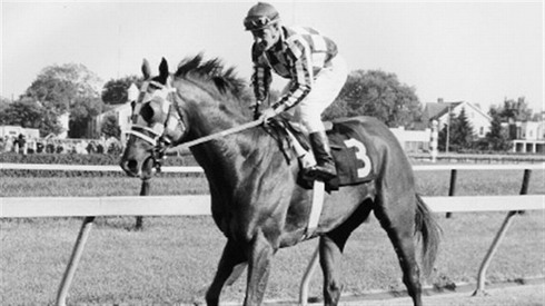 Ron Turcotte