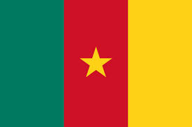 drapeau cameroun