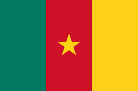 drapeau cameroun